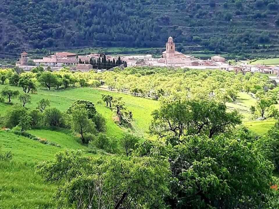 Las Moradas Del Temple Mirambel  Εξωτερικό φωτογραφία